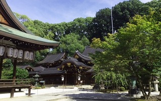 Imamiya-jinja Shrine