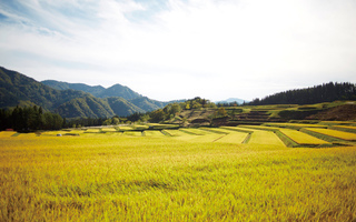 Totorinai Terraced Rice Paddies ～Okuani Sta.～