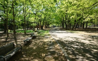 마루야마 공원